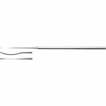 ROSEN RASPARTORY 160MM, SLIGHTLY CURVED, 1,0MM WIDTH STRAIGHT TIP