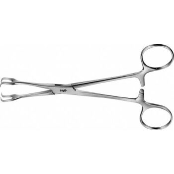 LAHEY FORCEPS 2X2 155MM