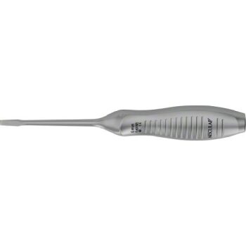 OSTEOTOME W/HANDLE 6MM 240MM