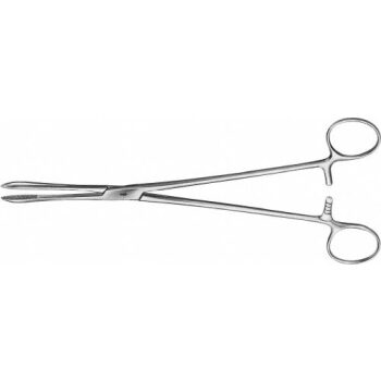 COLLIN SPONGE FORCEPS STR240MM