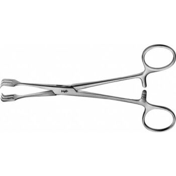 LAHEY FORCEPS 3X3 155MM