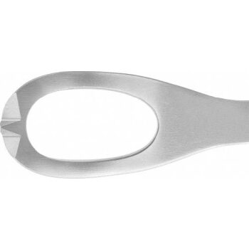 LANE TOWEL A.TISSUE GRASP.FORCEPS 195MM