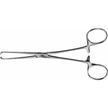 ALLIS FORCEPS 4X5 155MM