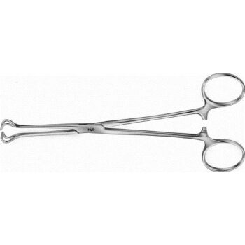 BABCOCK TISSUE FORCEPS 155MM