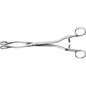 HEYWOOD-SMITH POLYP FORCEPS STR250MM