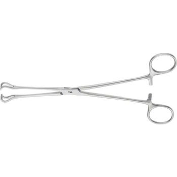 BABCOCK TISSUE FORCEPS220MM