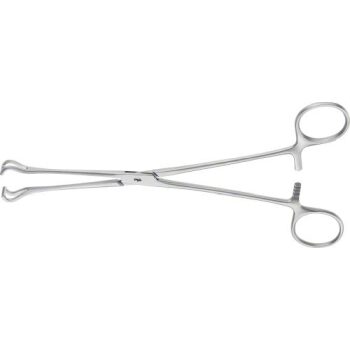 BABCOCK TISSUE/ORGAN FORCEPS 220MM